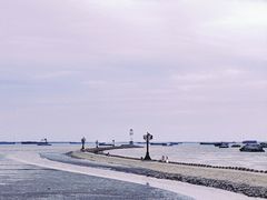 -上海吴淞炮台湾国家湿地公园
