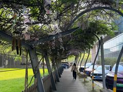 -硅谷蒙学幼儿园