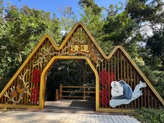 -海南霸王岭国家森林公园