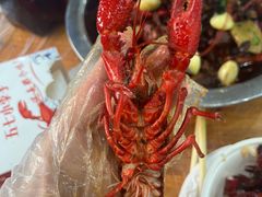 -五七小李子油焖大虾(总店)