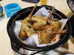 -一煲鸽