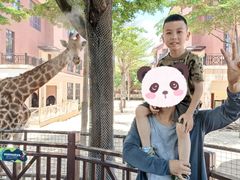-灵玲国际马戏城