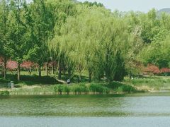 -北坞公园