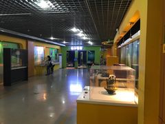 -陕西科学技术馆