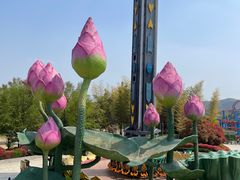 -南京银杏湖乐园