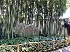 -上海醉白池公园