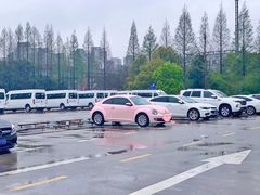 -上海市公安局交通警察总队车辆管理所三分所