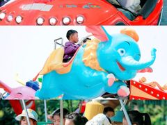 -南湖梦幻岛