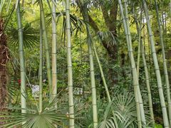 -南山风景名胜区