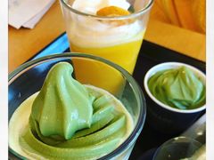 -雪绿茶博物馆