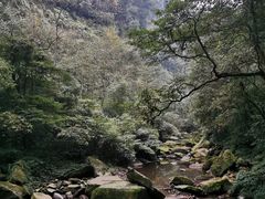 -碧峰峡风景区