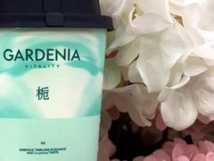 -爷爷不泡茶NOYEYENOTEA(烟台烟大保利店)