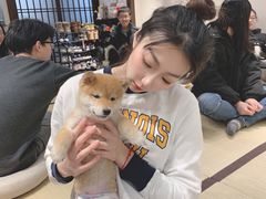 -逗柴咖啡屋·狗咖猫咖宠物桌游