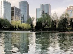 -团结湖公园