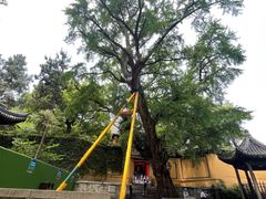 -惠山古镇·寄畅园