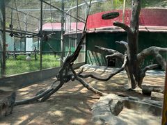 -深圳野生动物园