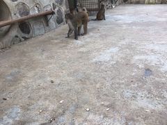 -南京金牛湖风景区