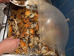 -禾斗海鲜自助(市南银座店)