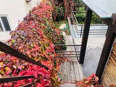 -不止轰趴独栋别墅户外烧烤(颐西庄园店)