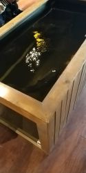-鳌首刺青纹身 穿孔饰品店