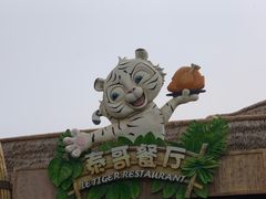 -郑州银基国际旅游度假区