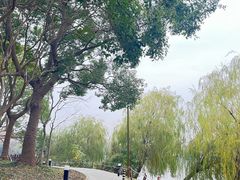 -上海野生动物园