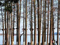 -东湖生态旅游风景区