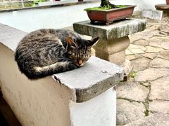 -西园戒幢律寺
