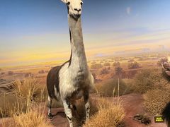 -陕西自然博物馆