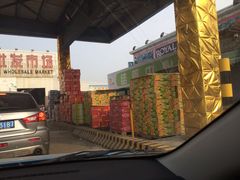 -上海龙吴水胜海发市场