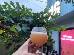 -ZING鲸鱼啤酒(葡萄院店)