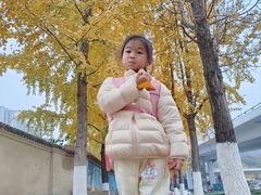 -高庙村(地铁站)