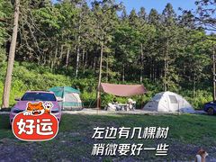 -武陵山森林公园