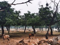 -西安秦岭野生动物园