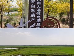 -南大港湿地风景区