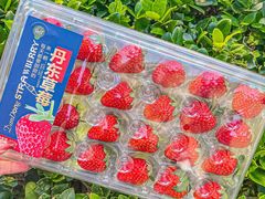 -永辉超市(晋江万达广场店)