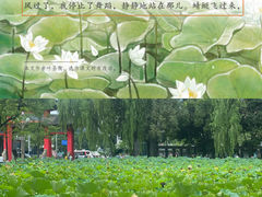 -四川大学(望江校区)
