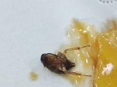 -鸿昇中西餐厅(石排店)