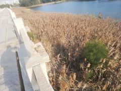 -五里桥文化公园-西侧停车场