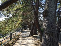 -名古屋城