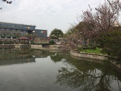 -嘉定紫藤园