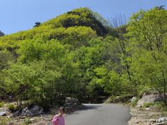 -大连天门山国家森林公园