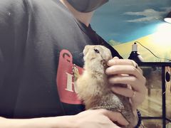 -藦茜花园宠物主题亲子互动体验馆(国顺东路店)
