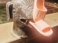 -中家鑫园温泉酒店鑫悦汤泉