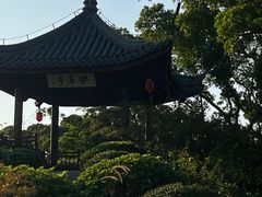 -江心屿景区