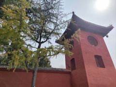 -洛阳白马寺