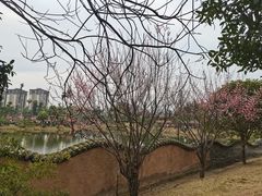 -枫香湖儿童公园