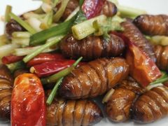 炒茧蛹-子霖南山鲜虾面(南山总店)