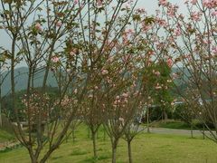 -汇雅温泉