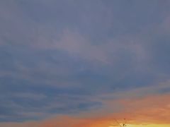 -贡湖湾湿地公园